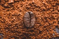 Coffee bean on heap of ground coffee Royalty Free Stock Photo