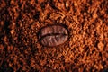 Coffee bean on heap of ground coffee Royalty Free Stock Photo