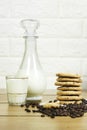 Coffee bean, homemade tasty cookies and milk bottle and cup Royalty Free Stock Photo
