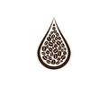 coffee bean icon vector