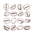 Coffee bean Isolated Hand drawn vector, sketch of coffee beans Royalty Free Stock Photo