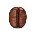 Coffee Bean isolated. Macro Royalty Free Stock Photo