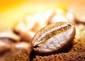 Coffee bean macro Royalty Free Stock Photo