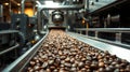 Coffee Bean Roasting Process - Industrial Machine with Roasted Beans on Conveyor Belt Royalty Free Stock Photo