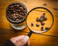 Coffee bean selection, Man hand holding magnifying glass looking Royalty Free Stock Photo