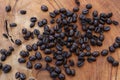 Coffee bean Royalty Free Stock Photo