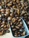 Coffee beand roasted and ground coffee bean background style