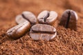 Coffee Beans Royalty Free Stock Photo