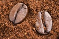 Coffee Beans Royalty Free Stock Photo