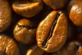 Coffee beans Royalty Free Stock Photo
