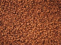 Coffee beans Royalty Free Stock Photo