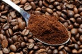 Coffee beans Royalty Free Stock Photo