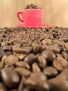 Coffee beans Royalty Free Stock Photo