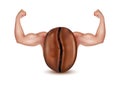 Coffee beans with arms showing strong muscles in a realistic 3D vector style.