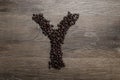 Coffee Beans Arranged as the Letter Y