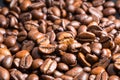 Coffee beans in the automatic coffee grinder Royalty Free Stock Photo