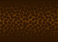 Coffee Beans Background