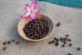 Coffee beans basket on sack Royalty Free Stock Photo