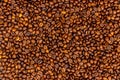 Coffee beans bright saturated texture. Roasted coffee beans background