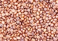 Coffee beans brown background - copy space for text Royalty Free Stock Photo
