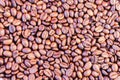 Coffee beans brown background - copy space for text Royalty Free Stock Photo