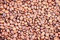Coffee beans brown background - copy space for text Royalty Free Stock Photo