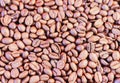 Coffee beans brown background - copy space for text Royalty Free Stock Photo