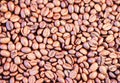 Coffee beans brown background - copy space for text Royalty Free Stock Photo