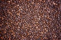 Coffee beans brown background Royalty Free Stock Photo