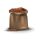 Coffee beans in brown burlap bag.