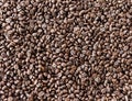 Close up coffee bean texture background. Top view,