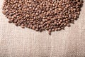 Coffee beans on burlap sack Royalty Free Stock Photo