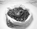 Coffee beans and a ceramic cup in a paper bag Royalty Free Stock Photo