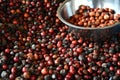 Coffee beans cherry process organic robusta in thailand