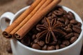 Coffee beans, cinnamon and aniseed in coffee cup. Macro.