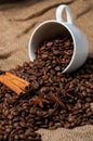 Coffee beans, cinnamon and aniseed in coffee cup.