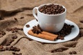 Coffee beans, cinnamon and aniseed in coffee cup