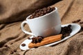 Coffee beans, cinnamon and aniseed in coffee cup.