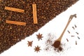 Coffee beans, cinnamon sticks, anise and wooden spoon close-up on white background. Royalty Free Stock Photo