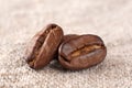 Coffee beans close-up Royalty Free Stock Photo