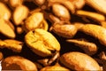 Coffee beans close up. Vector drawing from photo. Freshly prepared coffee aroma