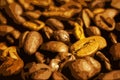 Coffee beans close up. Vector drawing from photo. Freshly prepared coffee aroma