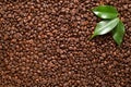 Coffee beans closeup background with green leaves Royalty Free Stock Photo