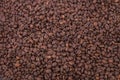Coffee beans closeup background Royalty Free Stock Photo