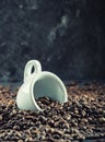 Coffee beans. Coffee cup full of coffee beans. Toned image Royalty Free Stock Photo