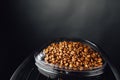 Coffee beans in coffeemaker bean container, copy-space background