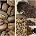 Coffee beans Royalty Free Stock Photo