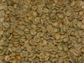 Coffee beans collected for processing Royalty Free Stock Photo