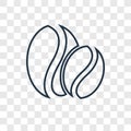 Coffee beans concept vector linear icon isolated on transparent