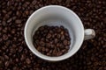 Coffee beans in a cup,cup of coffee with beans Royalty Free Stock Photo